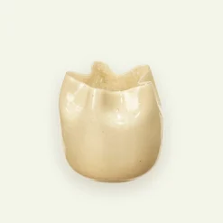Broste Copenhagen Esther vase/lyslykt 20 x 20 cm, Anise Flower Yellow  Fyrklövern