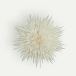 Watt & Veke Maja adventsstjerne 50 cm, Offwhite Fyrklövern